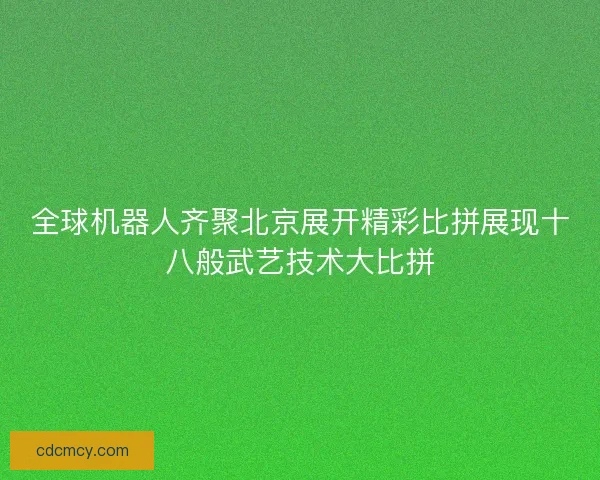 全球机器人齐聚北京展开精彩比拼展现十八般武艺技术大比拼