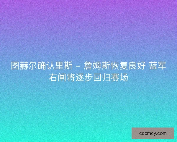 图赫尔确认里斯 - 詹姆斯恢复良好 蓝军右闸将逐步回归赛场